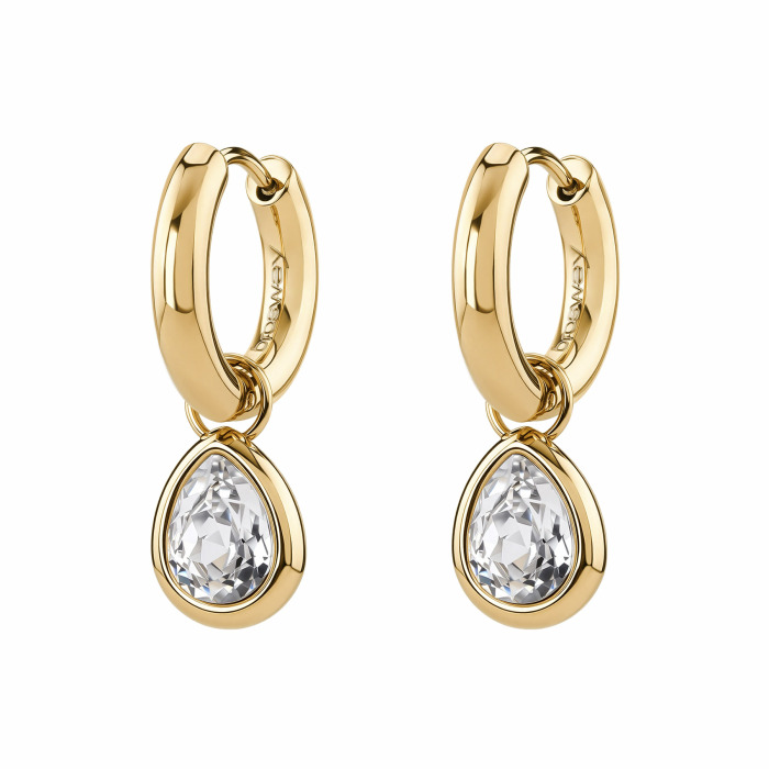 Nerjaveče Jeklo Ženska Uhani Brosway Bym216